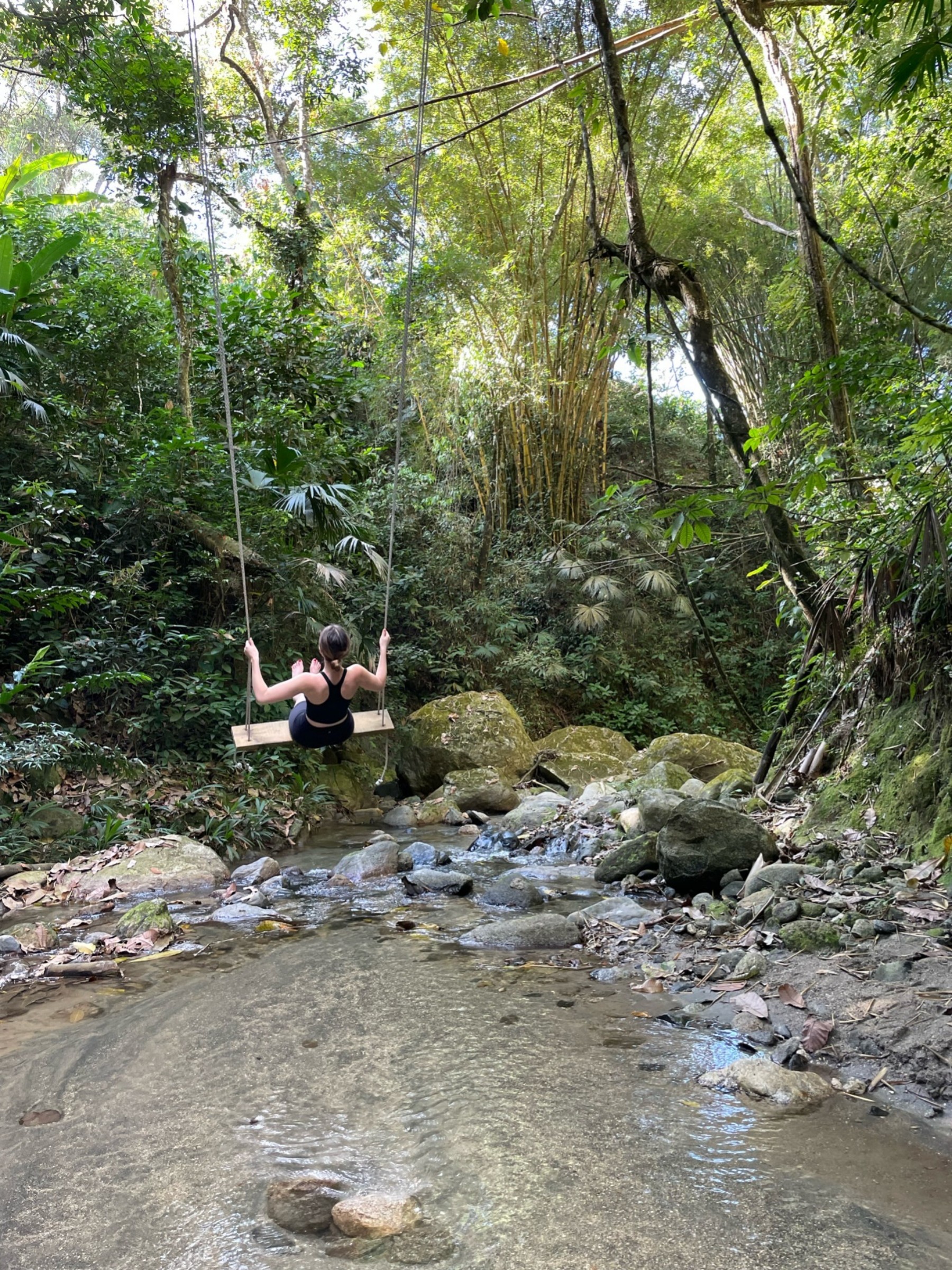 Cate on a swing above a forest stream